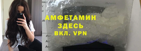 прущие грибы Верхнеуральск