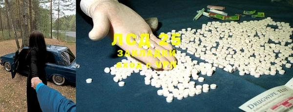 прущие грибы Верхнеуральск